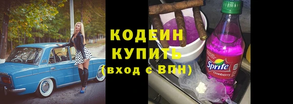 ешки Бородино