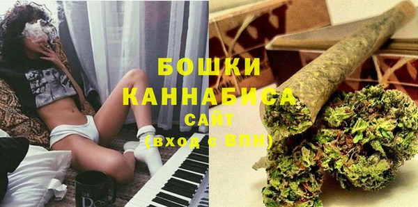 МДПВ Богородск