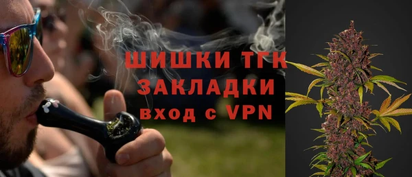 ешки Бородино