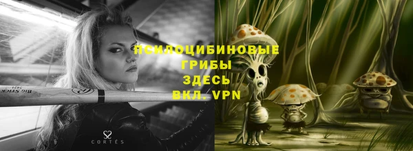 МДПВ Богородск