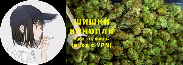 МДПВ Богородицк