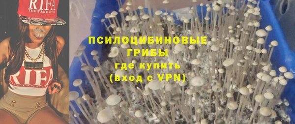 мескалин Богданович